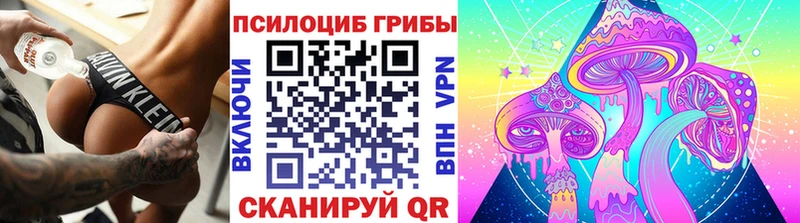 Псилоцибиновые грибы MAGIC MUSHROOMS  мега ССЫЛКА  Волжский  хочу наркоту 